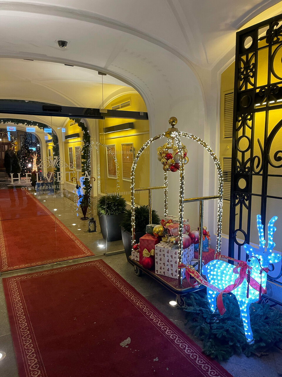 Гостиница Гельвеция Санкт-Петербург-69