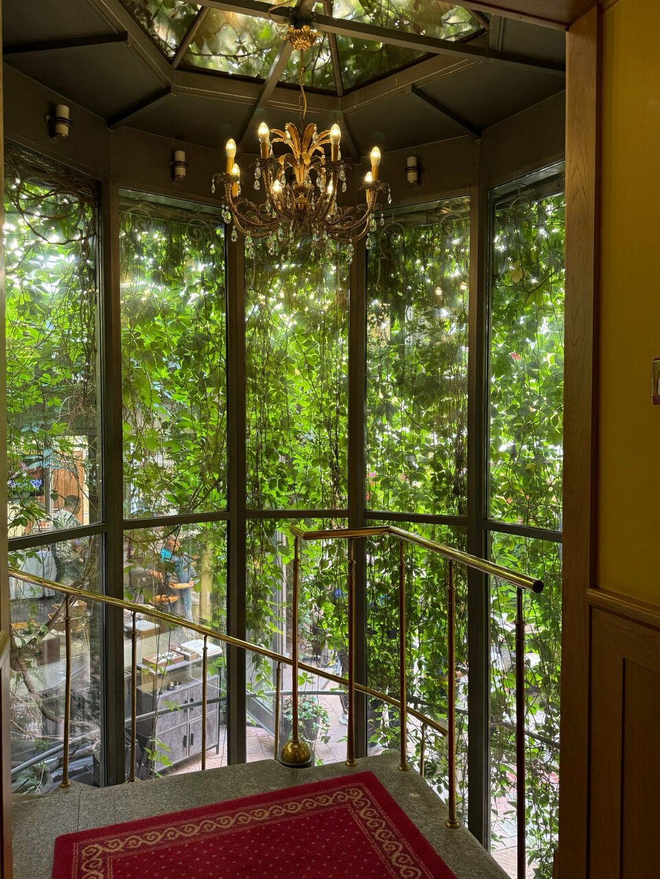 Гостиница Гельвеция Санкт-Петербург-131