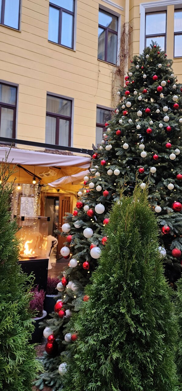 Гостиница Гельвеция Санкт-Петербург-67