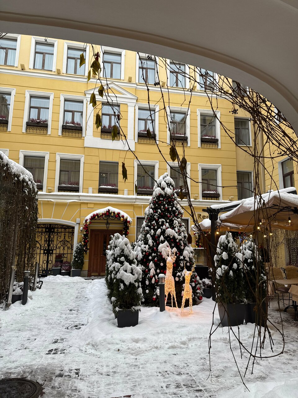 Гостиница Гельвеция Санкт-Петербург-117