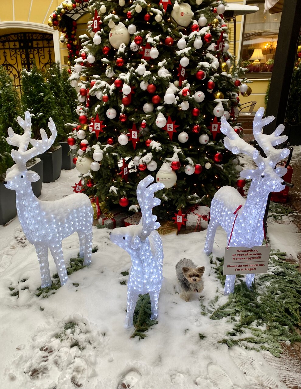 Гостиница Гельвеция Санкт-Петербург-210