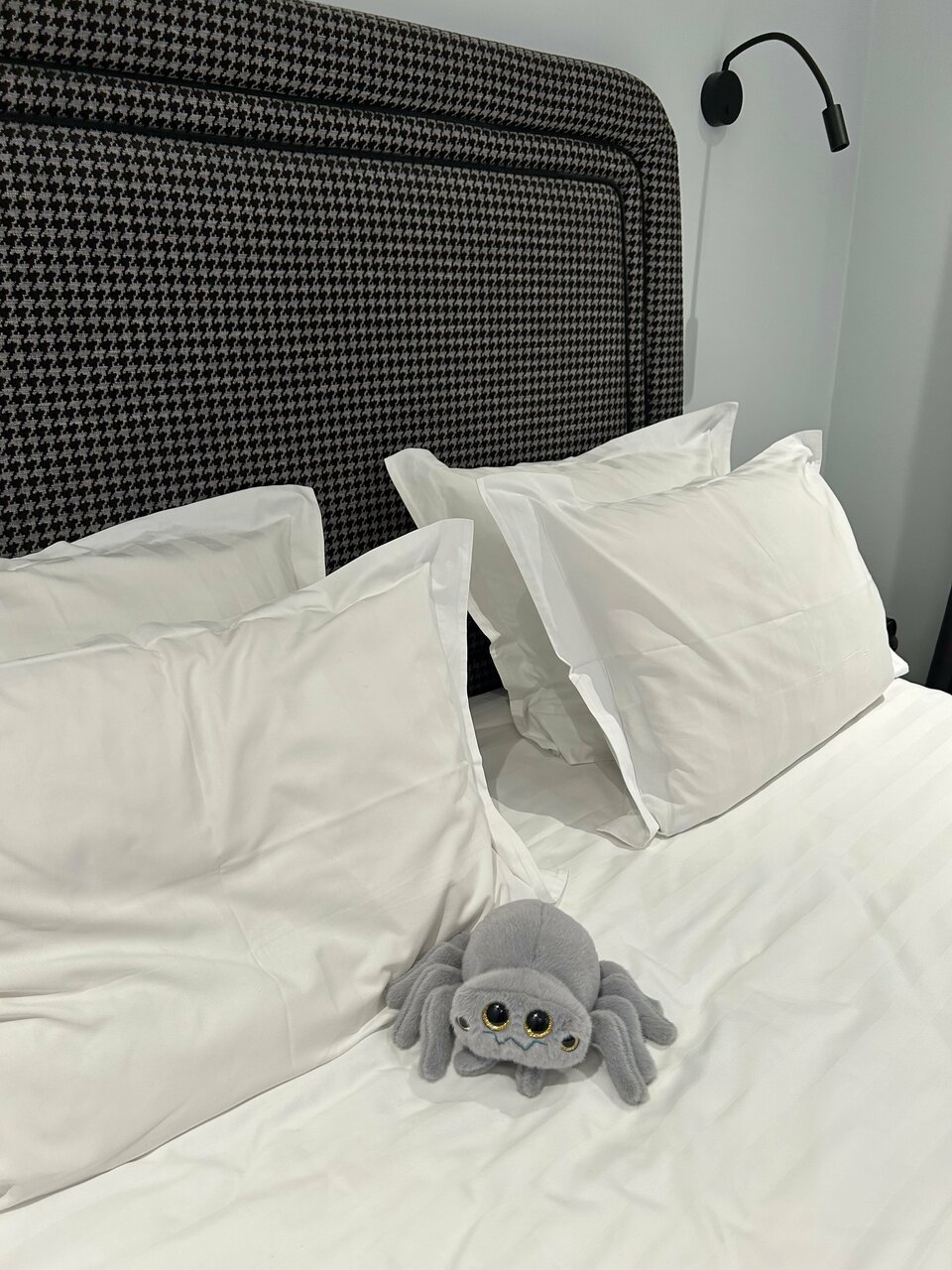 Гостиница Гельвеция Санкт-Петербург-98