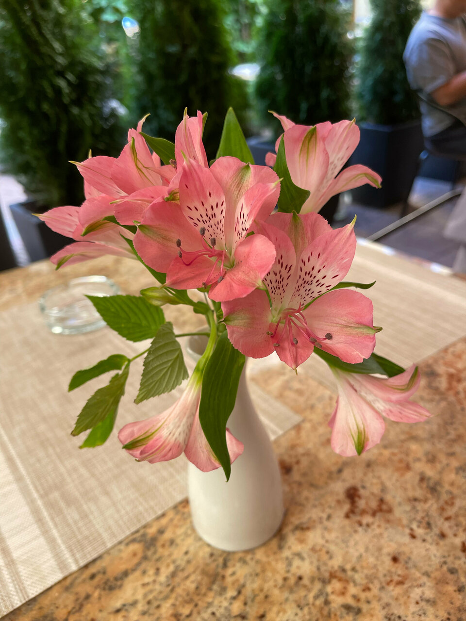 Гостиница Гельвеция Санкт-Петербург-163