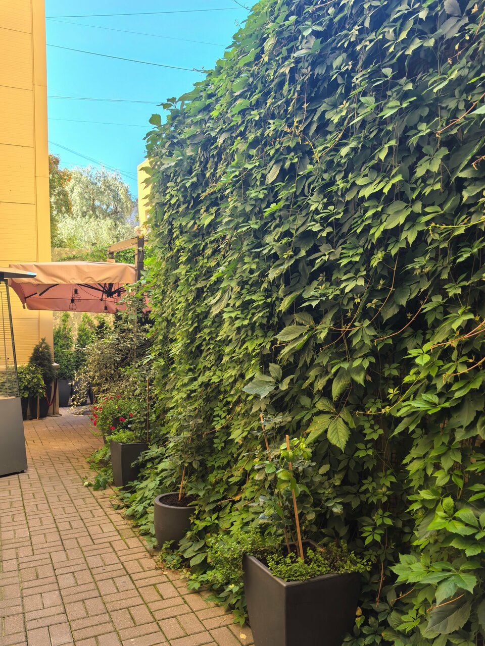 Гостиница Гельвеция Санкт-Петербург-123