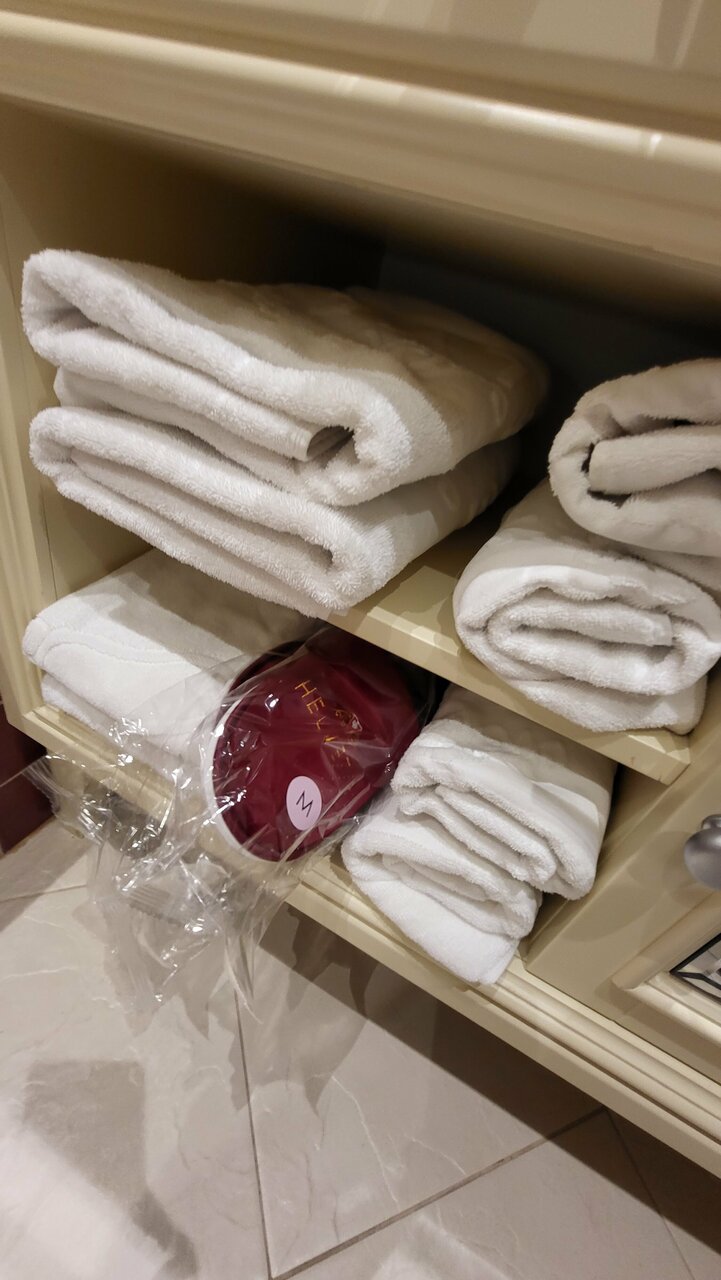 Гостиница Гельвеция Санкт-Петербург-247