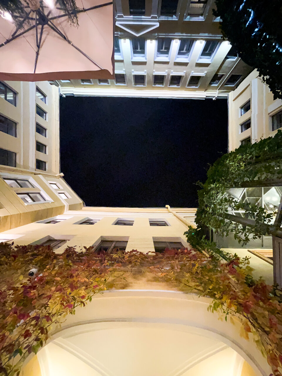 Гостиница Гельвеция Санкт-Петербург-78