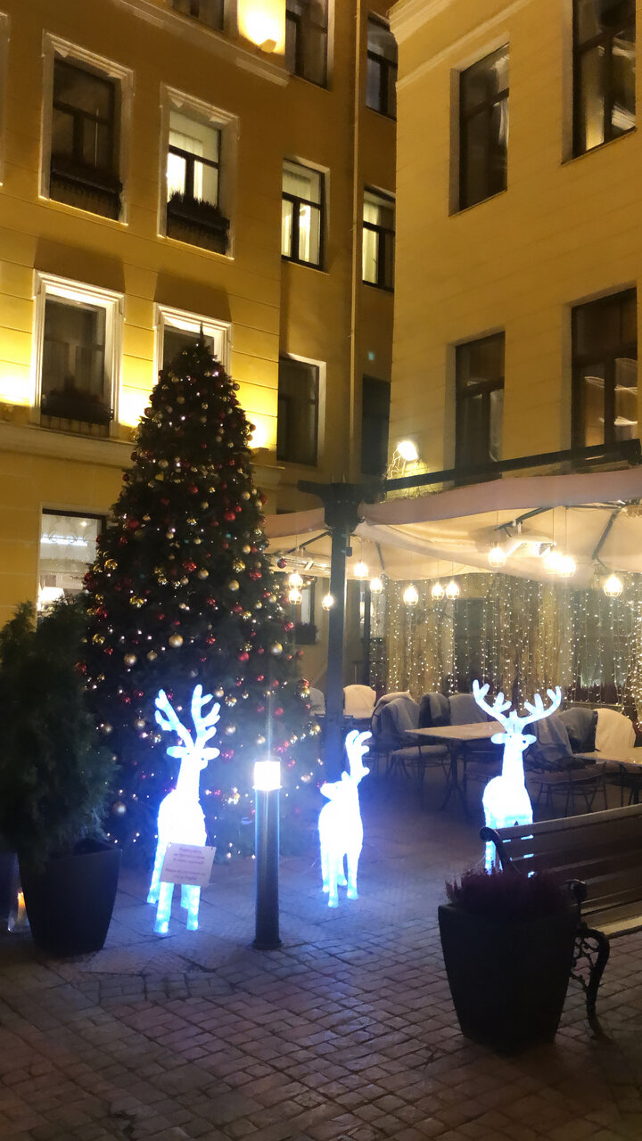 Гостиница Гельвеция Санкт-Петербург-169