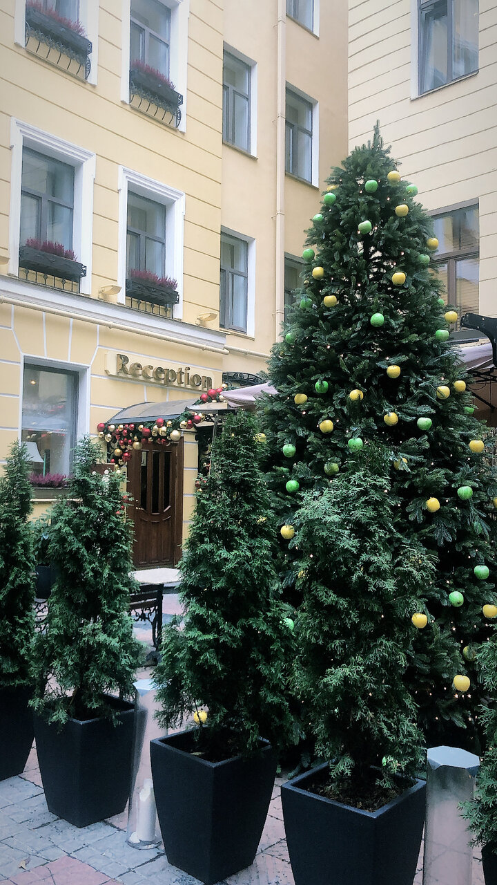 Гостиница Гельвеция Санкт-Петербург-239