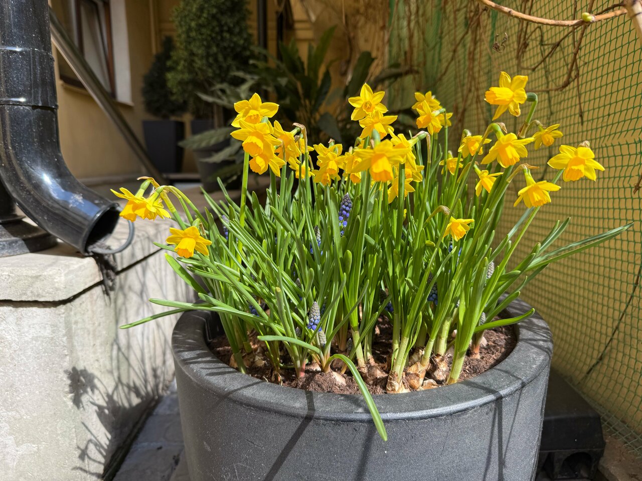 Гостиница Гельвеция Санкт-Петербург-134