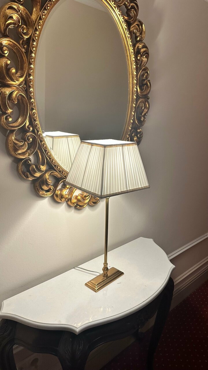 Гостиница Гельвеция Санкт-Петербург-49