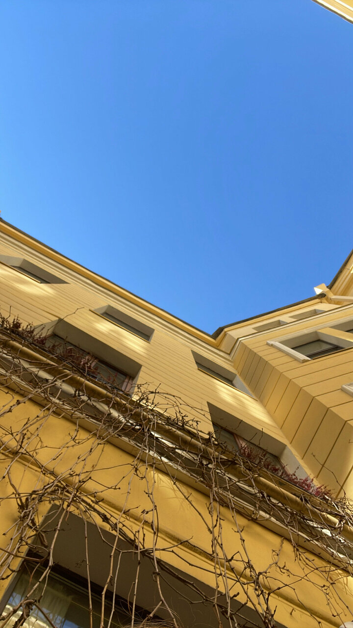 Гостиница Гельвеция Санкт-Петербург-113