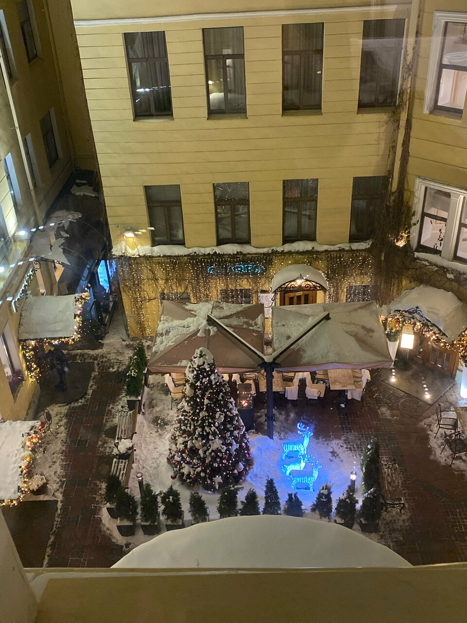 Гостиница Гельвеция Санкт-Петербург-53