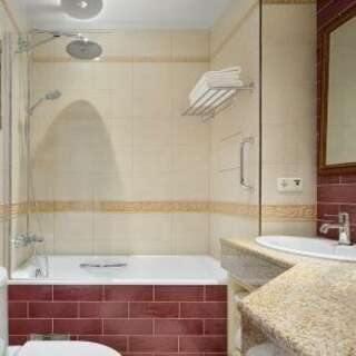 Гостиница Гельвеция Санкт-Петербург Standard (1 двуспальная кровать)-1