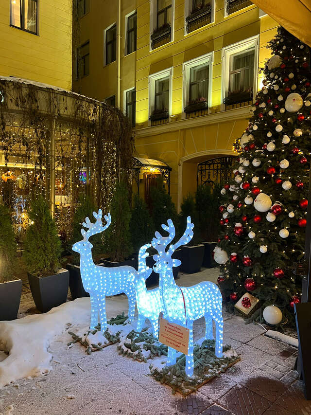 Гостиница Гельвеция Санкт-Петербург-18