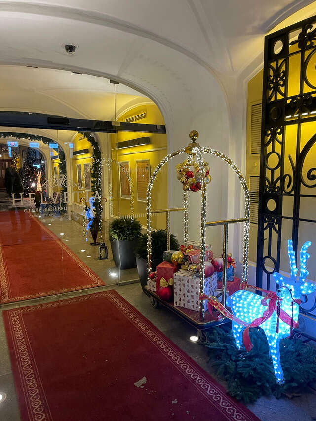 Гостиница Гельвеция Санкт-Петербург-68