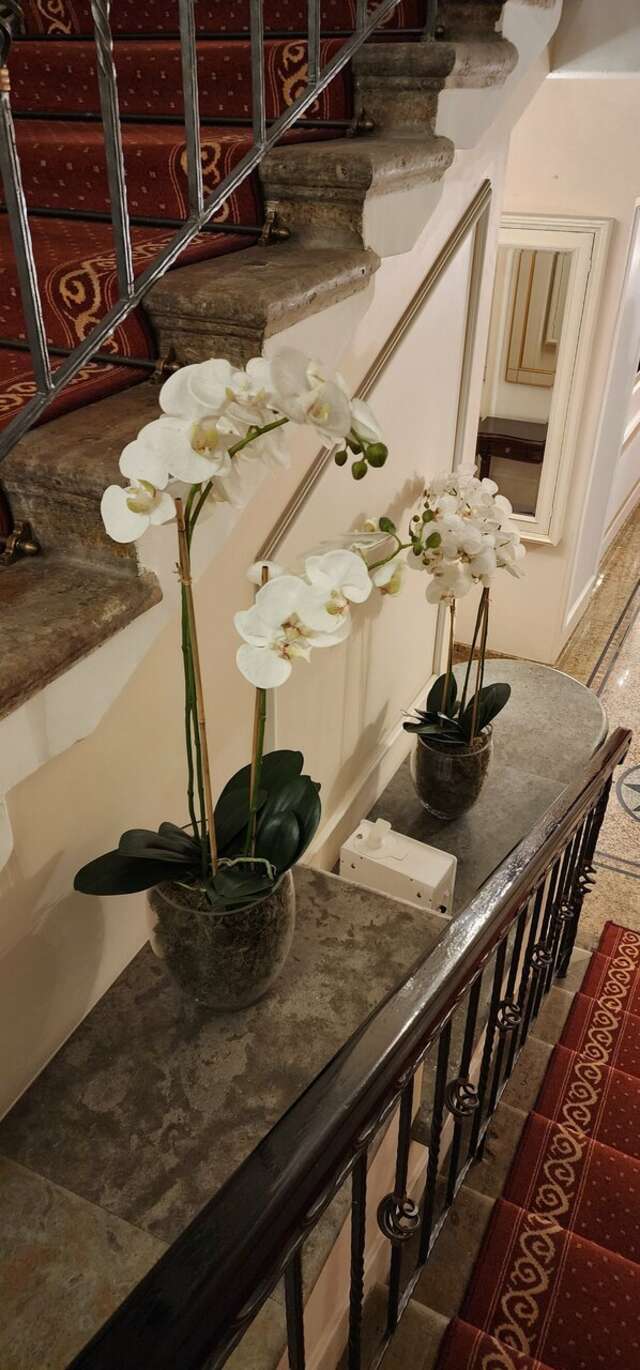 Гостиница Гельвеция Санкт-Петербург-96