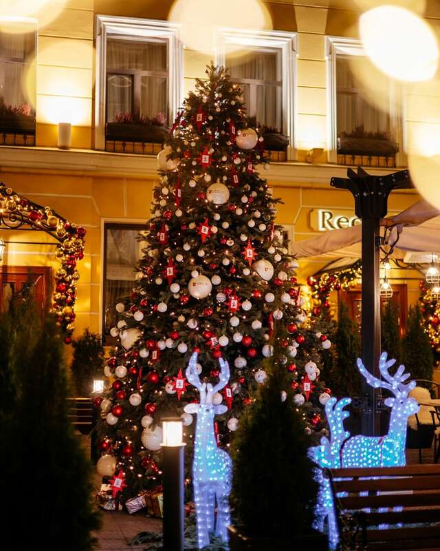 Гостиница Гельвеция Санкт-Петербург-205