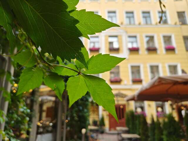 Гостиница Гельвеция Санкт-Петербург-67