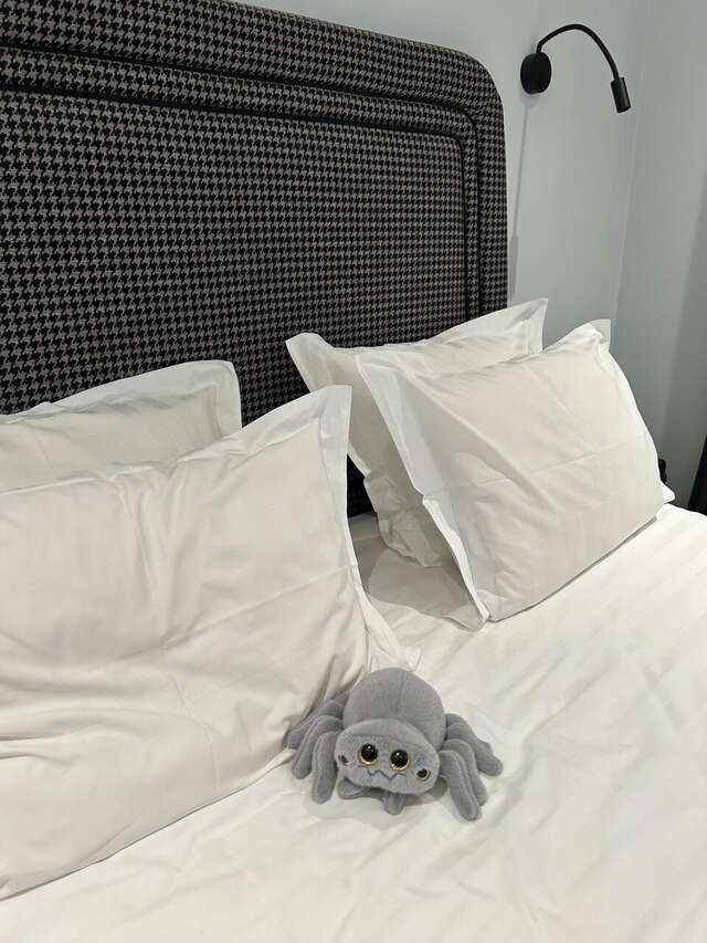 Гостиница Гельвеция Санкт-Петербург-97