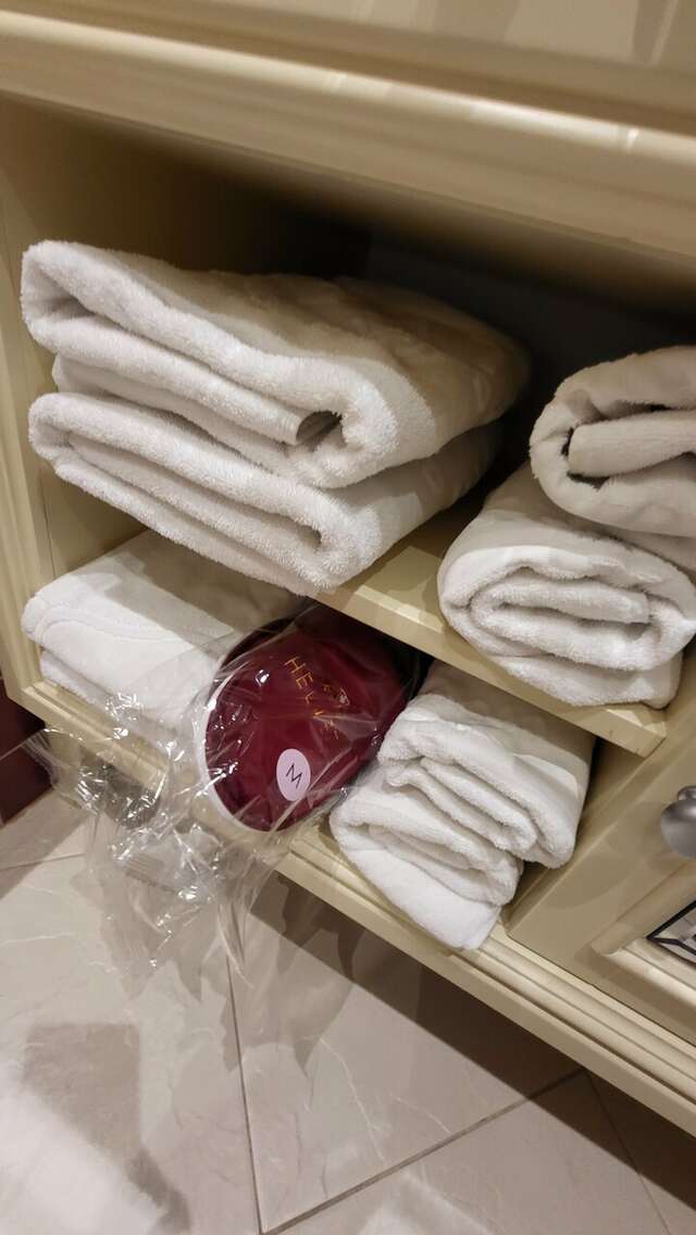 Гостиница Гельвеция Санкт-Петербург-246